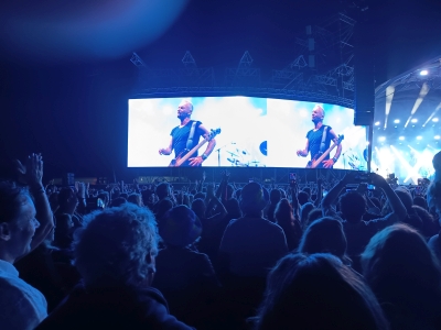 Sting-pequeno.jpg